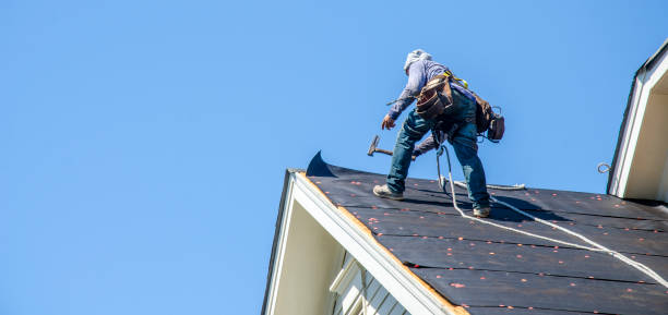 Best Emergency Roof Repair  in Goddard, KS